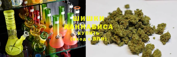 дживик Болохово