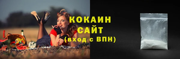 молекула духа Горно-Алтайск
