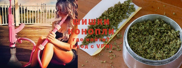 молекула духа Горно-Алтайск