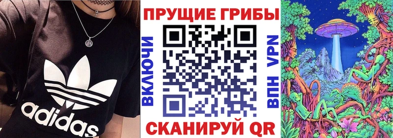Галлюциногенные грибы Cubensis  наркотики  Гусь-Хрустальный 